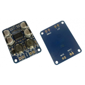 Изображение Фото TPA3118 AMP
