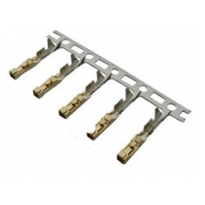 Изображение Контакты L-KLS1-2.50-T / CHU