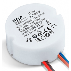 Изображение Источник тока RC30W950