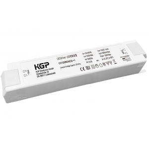 Изображение Источник напряжения CV120W24CG-1