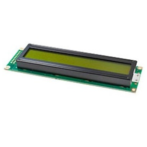 Изображение Индикатор WH2402A-YGH-CT