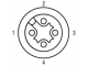 доп. изображение Шнур соединительный 1925581000 SAIL-M12BG-4-10V-1