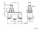 доп. изображение Микропереключатель LXW5-11M 15A/250VAC-1